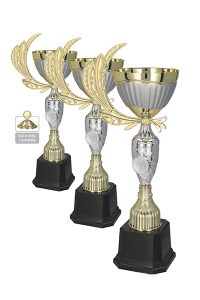 http://www.drukarnia-dagraf.pl/wp-content/uploads/2016/04/puchar_12-200x300.jpg